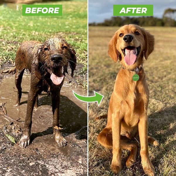 Pup Jet | Dog Washer Attachment
