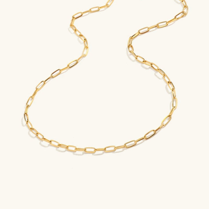 Bernstein Gold Chain Necklace